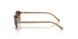 720013 - Brown - Gradient Brown
