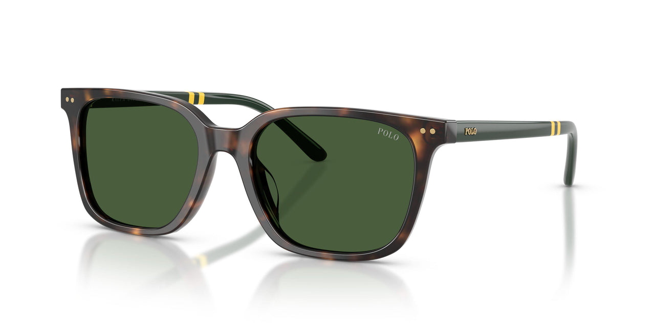 500371 - Tortoise - Bottle Green