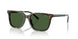 500371 - Tortoise - Bottle Green