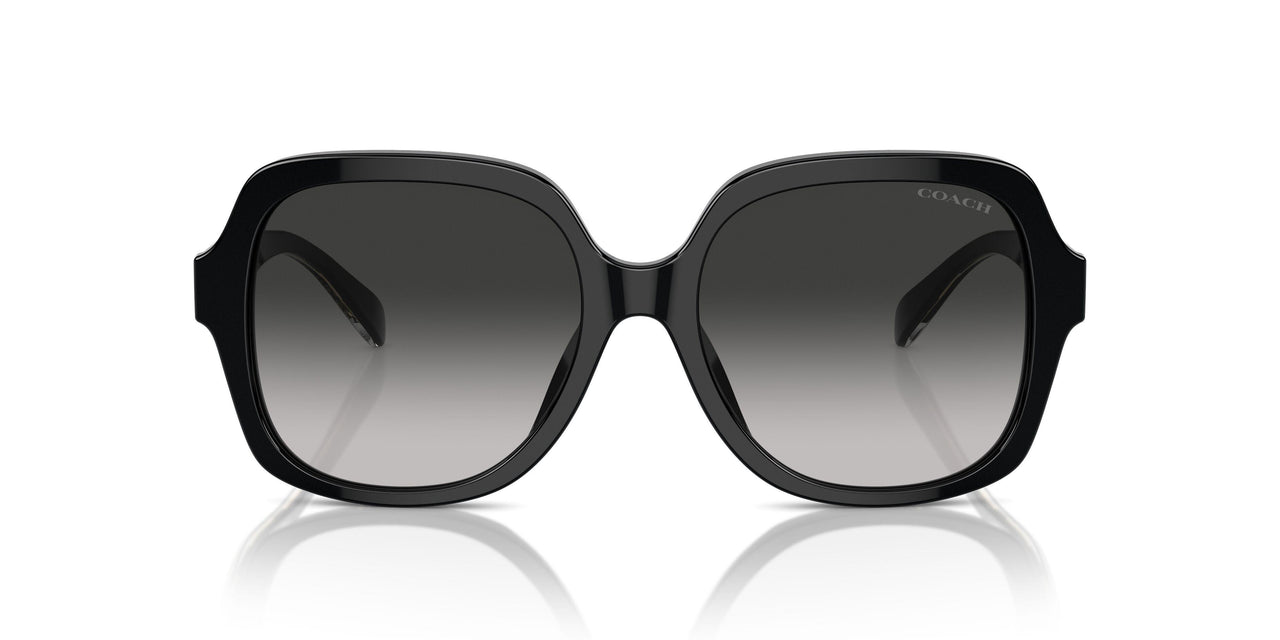 50023C - Black - Grey Gradient