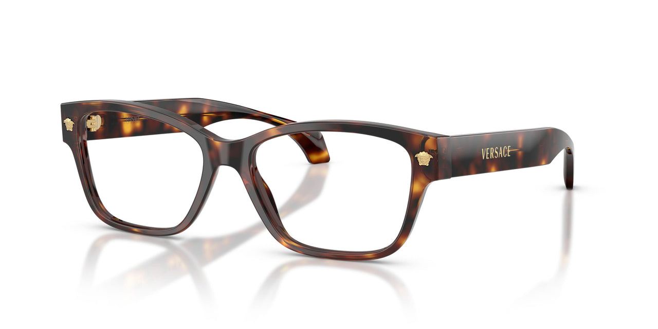 5539 - Tortoise