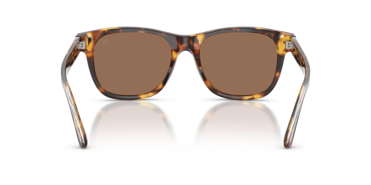 513473 - Tortoise - Brown