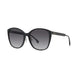 01B - Shiny Black - Gradient Smoke