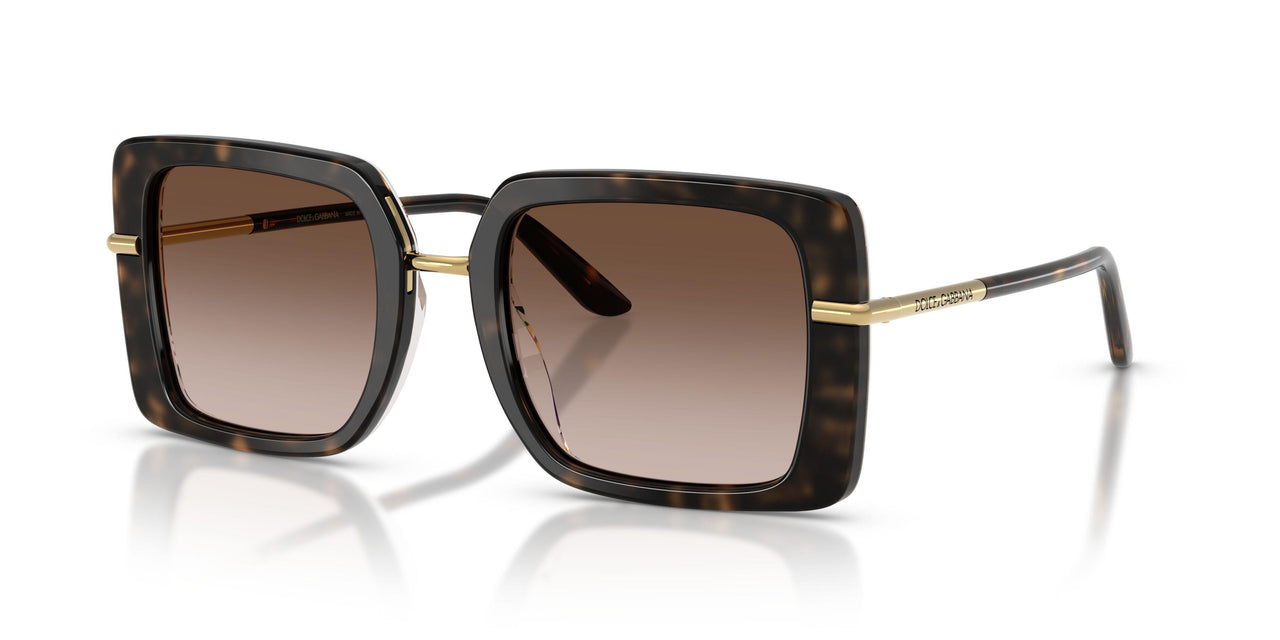 321713 - Tortoise - Brown Gradient