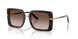 321713 - Tortoise - Brown Gradient