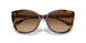 574274 - Tortoise - Brown Gradient