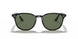601/71 - Black - Green