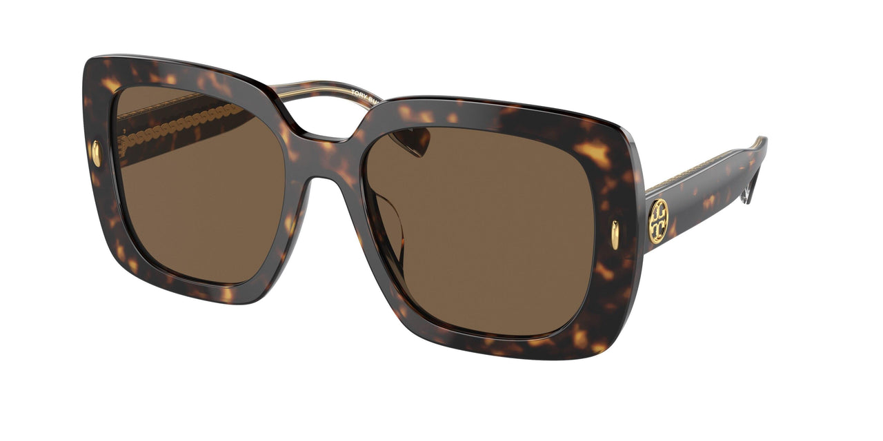 172873 - Tortoise - Dark Brown