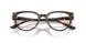 5002 - Tortoise