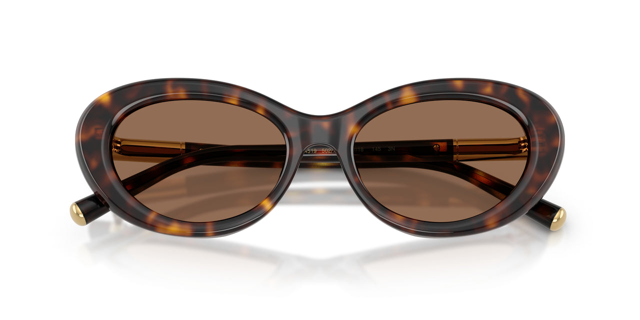 502/73 - Tortoise - Dark Brown
