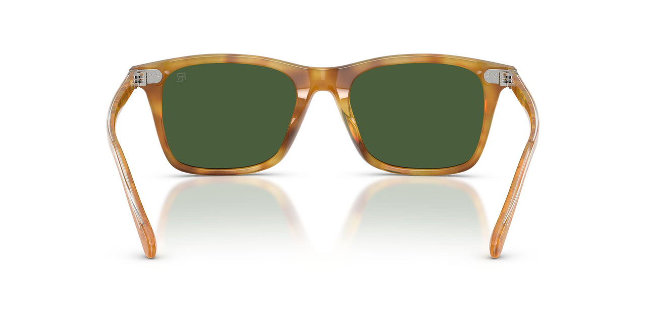 618571 - Tortoise - Bottle Green