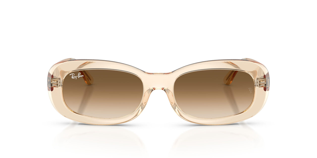 690251 - Pink - Clear Gradient Brown