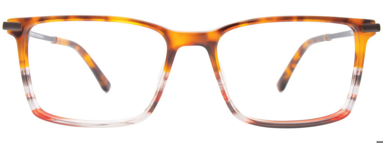 10 - Tortoise Gradient