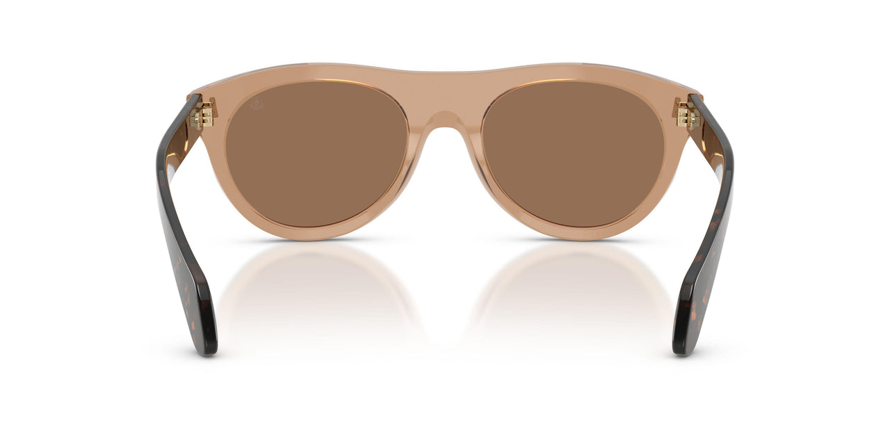 303773 - Brown - Dark Brown