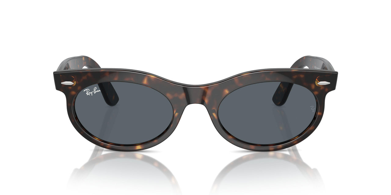 902/R5 - Tortoise - Blue