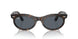 902/R5 - Tortoise - Blue