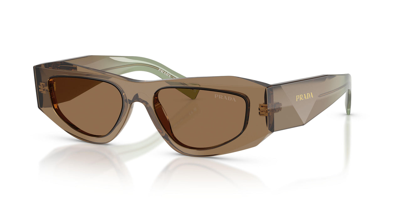 29E90F - Brown - Light Brown
