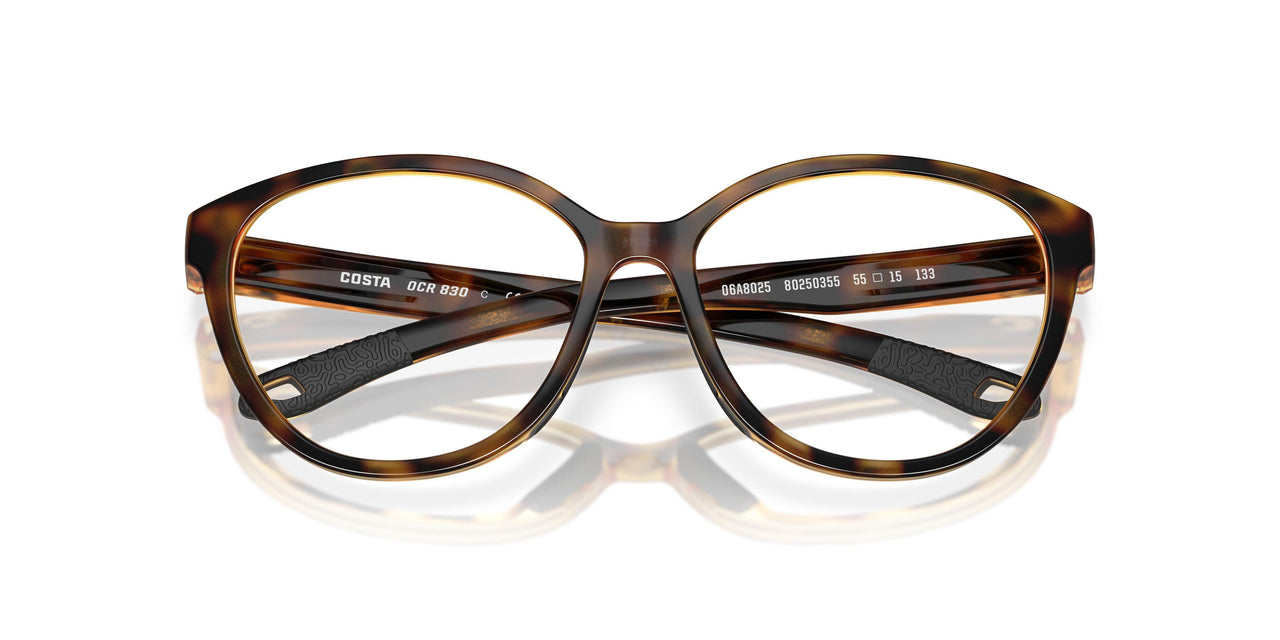 802503 - Tortoise