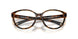 802503 - Tortoise