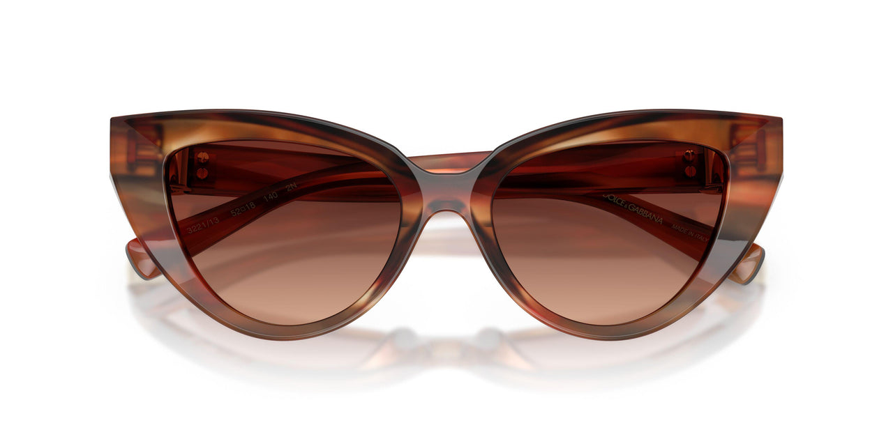 322113 - Tortoise - Gradient Brown