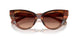 322113 - Tortoise - Gradient Brown