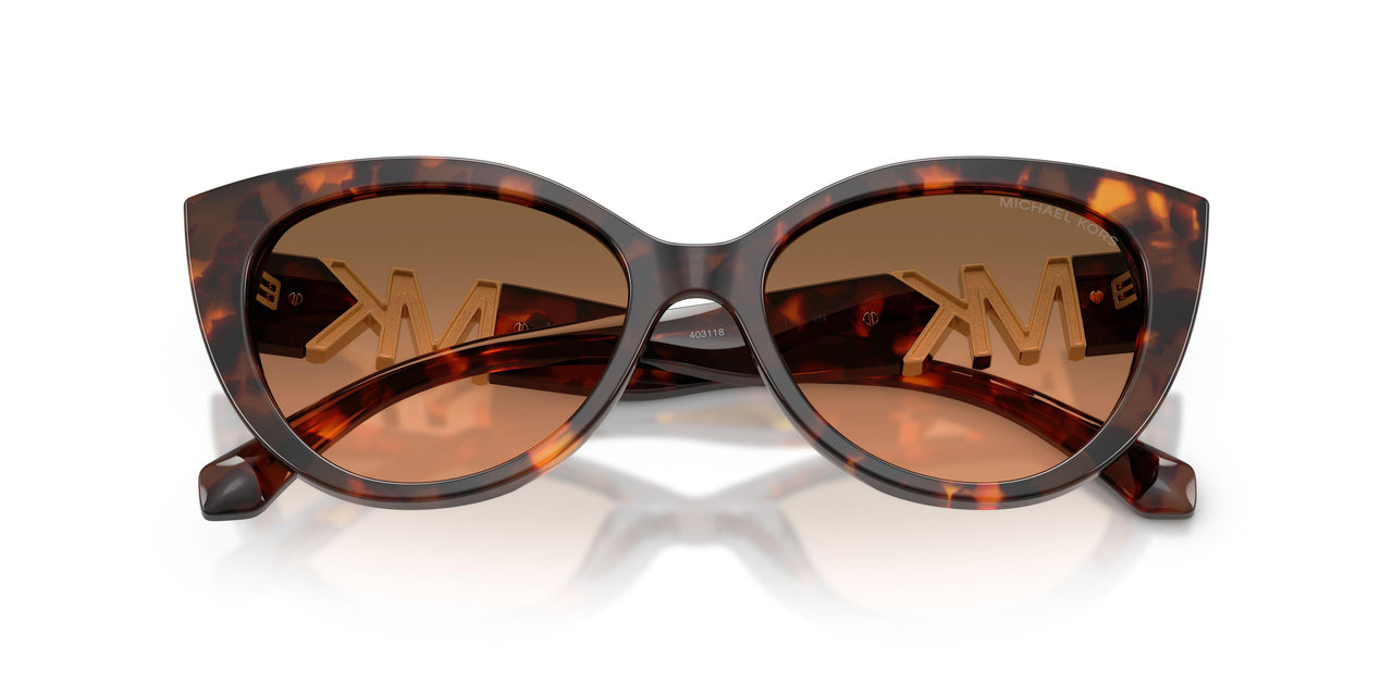 403118 - Tortoise - Grey Orange Gradient