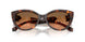 403118 - Tortoise - Grey Orange Gradient
