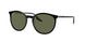 Ray-Ban 2204F Sunglasses