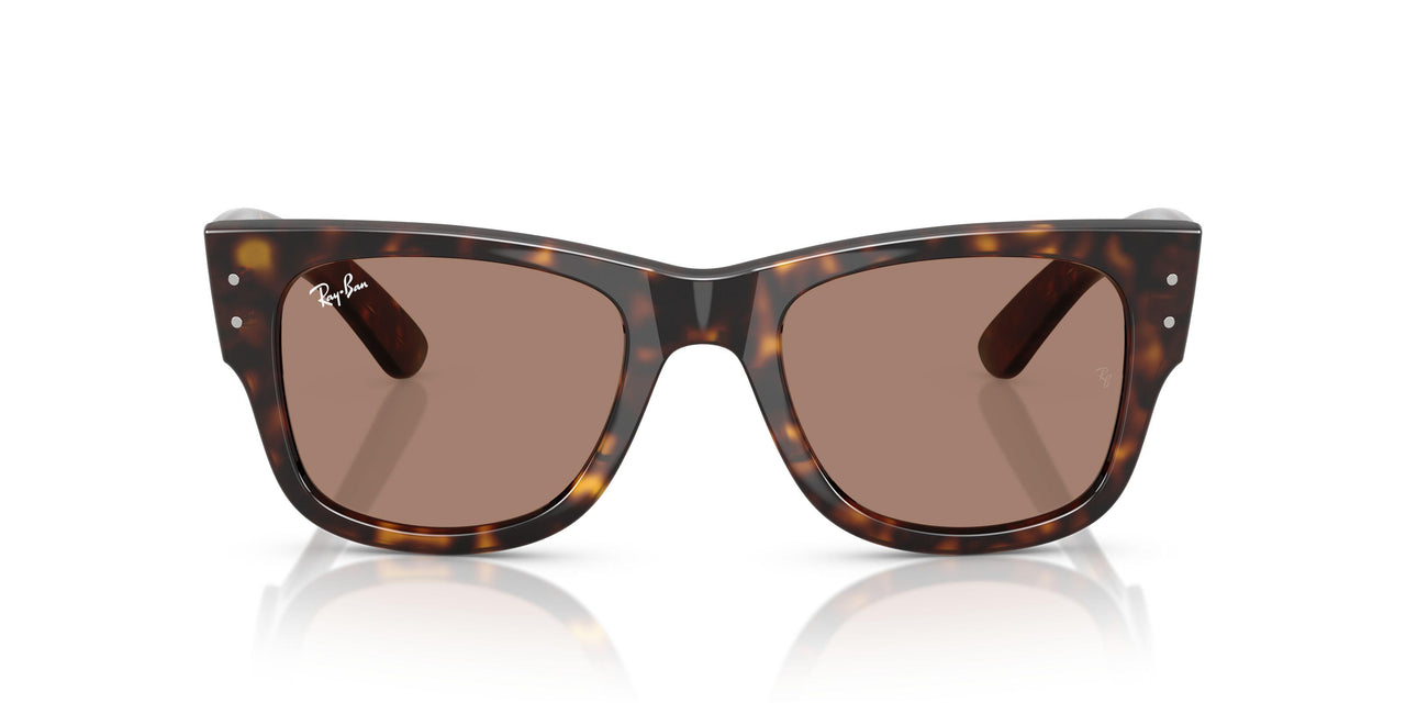 902/1A - Tortoise - Light Violet