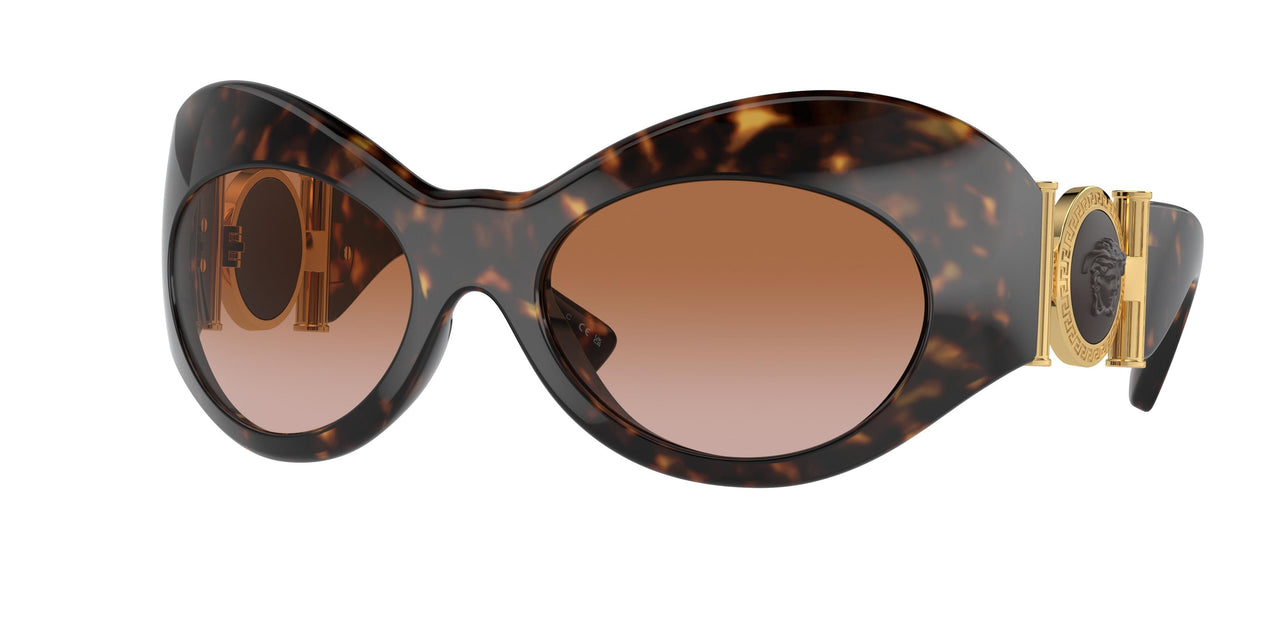 108/13 - Tortoise - Brown Gradient