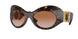 108/13 - Tortoise - Brown Gradient