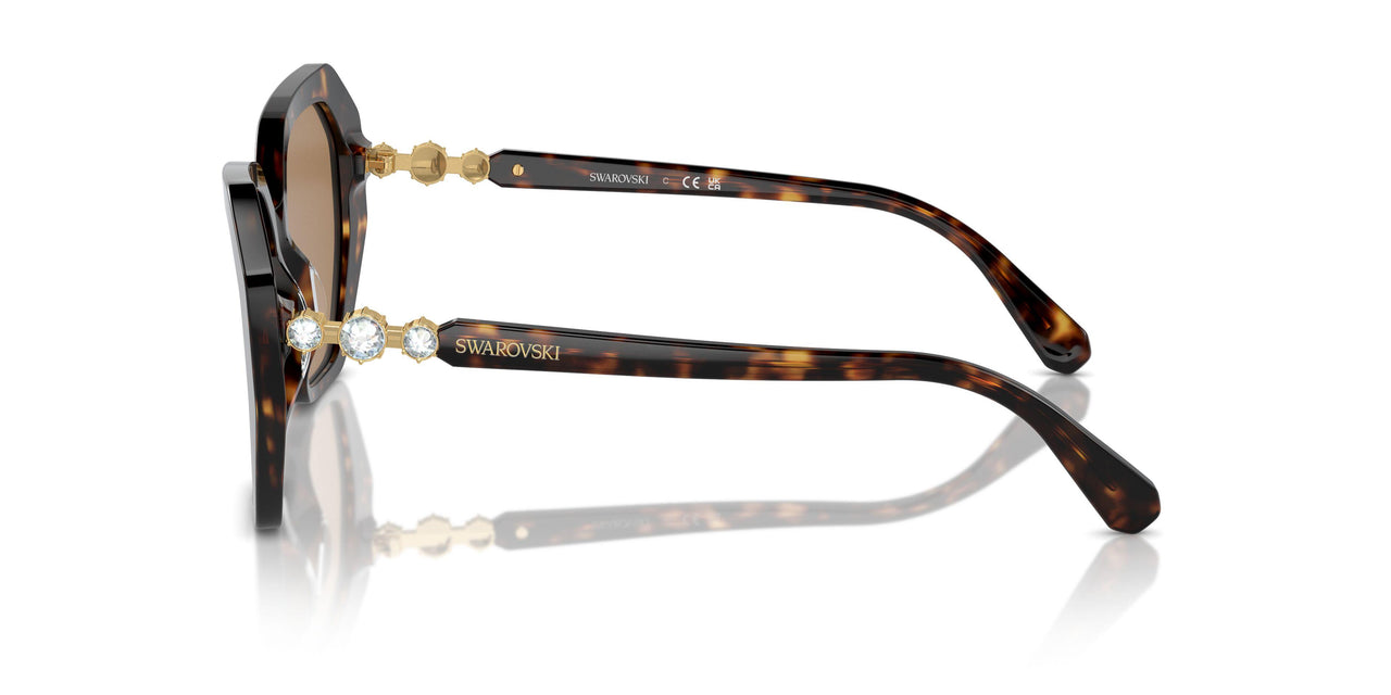1002M4 - Brown - Photo Brown
