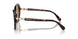 1002M4 - Brown - Photo Brown