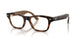 Ray-Ban Meta Ray-ban Meta Audio Burbank 7005