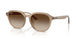 616613 - Beige - Gradient Brown