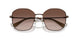400213 - Brown - Gradient Brown
