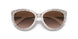 309213 - White - Brown Gradient