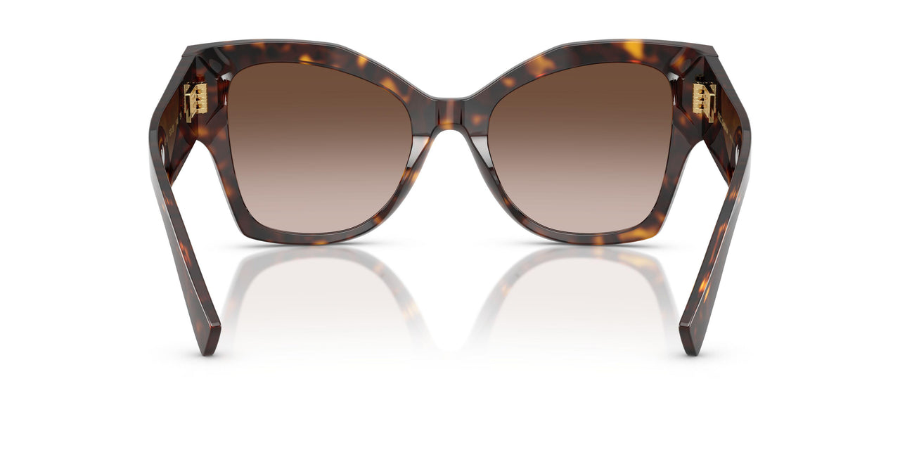 502/13 - Tortoise - Gradient Brown