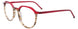 30 - Red Crsytal & Brown Lines