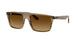 143985 - Green - Gradient Brown