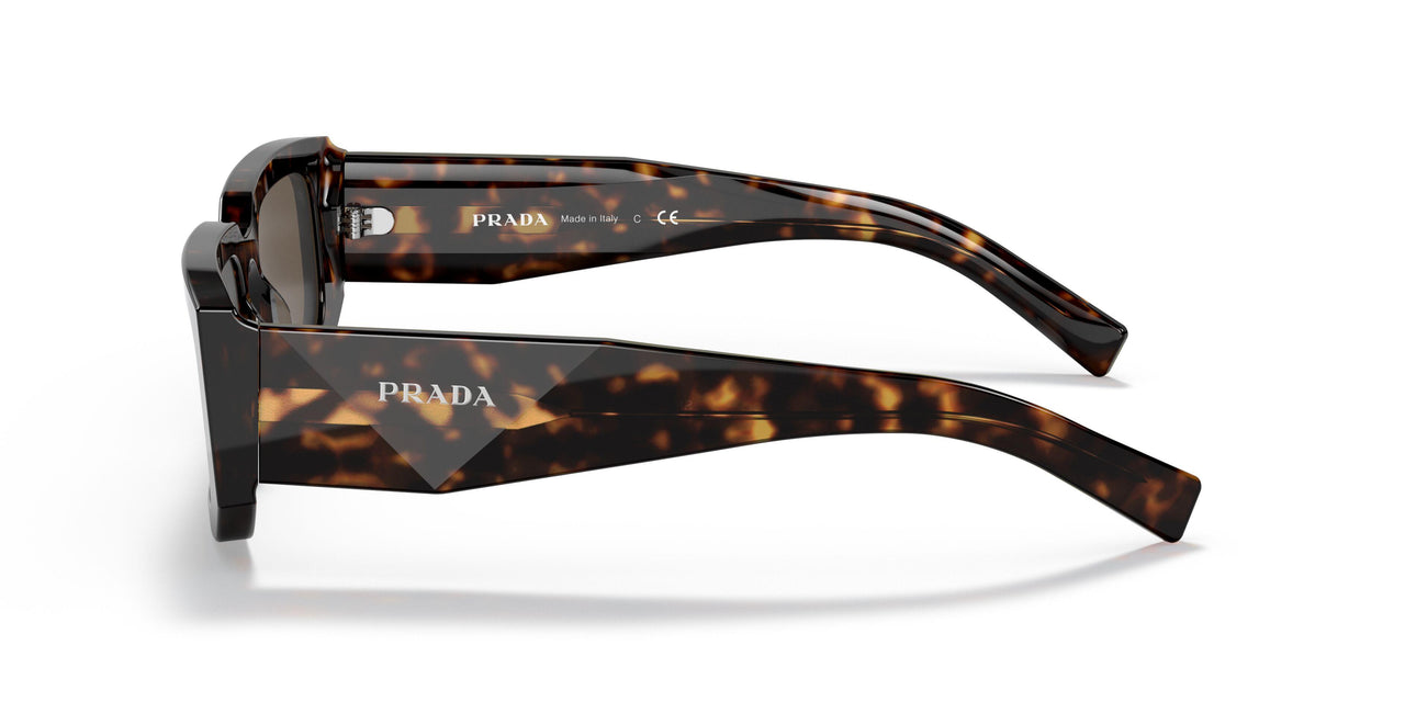 2AU8C1 - Havana - Dark Brown