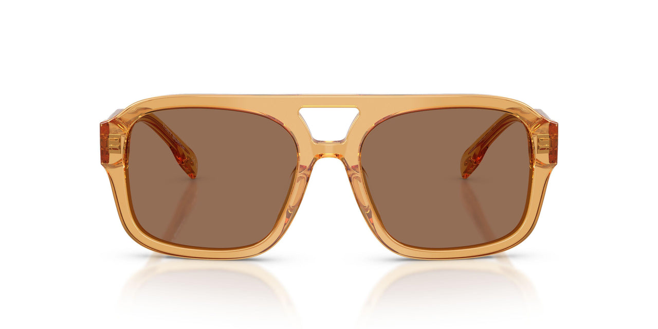 205584 - Solid Brown