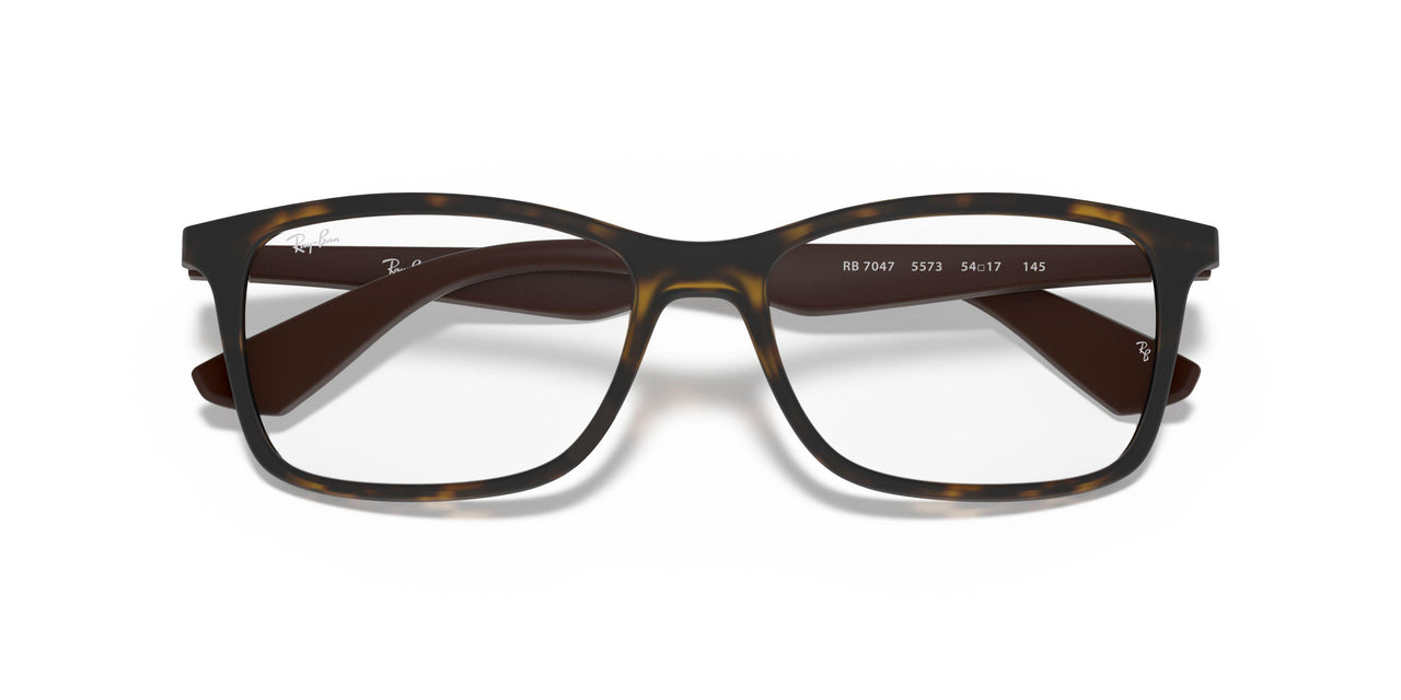 5573 - Tortoise - Clear