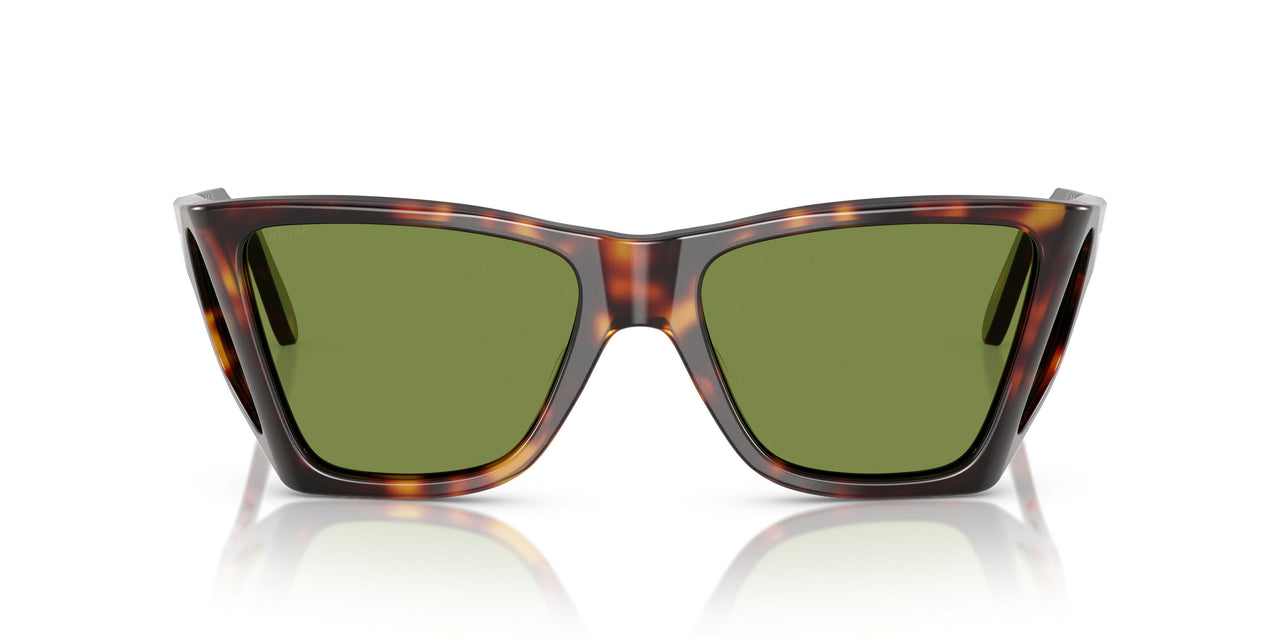 24/4E - Tortoise - Green