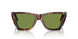 24/4E - Tortoise - Green