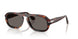 24/B1 - Tortoise - Dark Grey