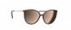 6230 - Brown / Gold - Glossy Caramel Mirror