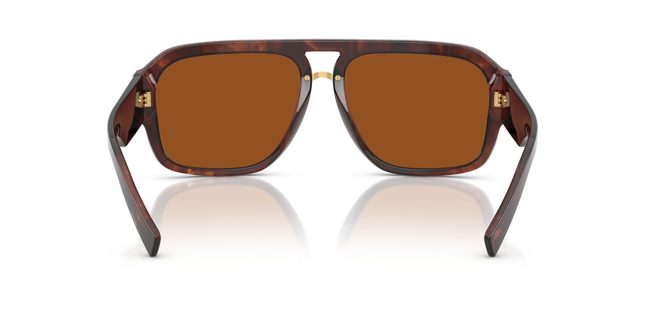 322273 - Red - Dark Brown