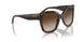 W65613 - Havana - Brown Gradient