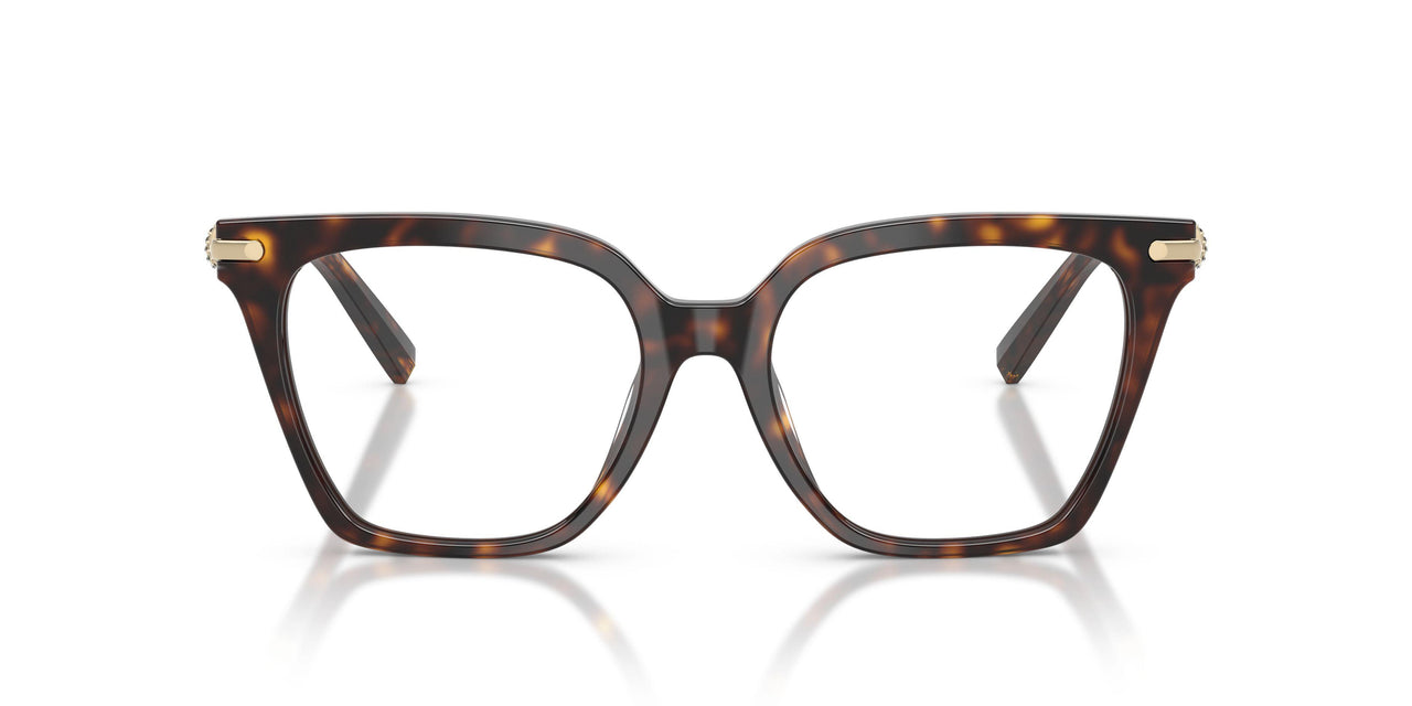 8015 - Tortoise